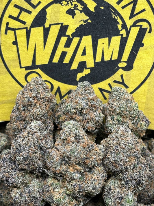 Gelato 33(Indica Hybrid)