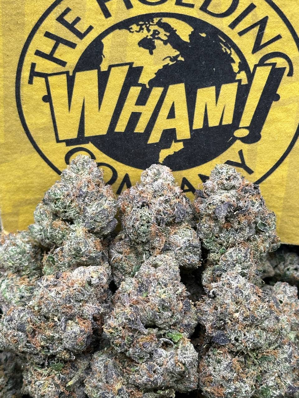 Permanent Marker(Indica)