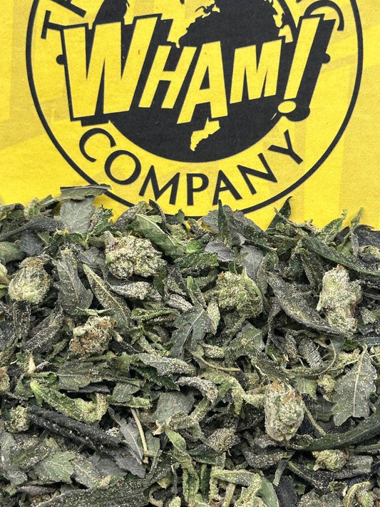 White Cherry Gelato Shake (Indica)
