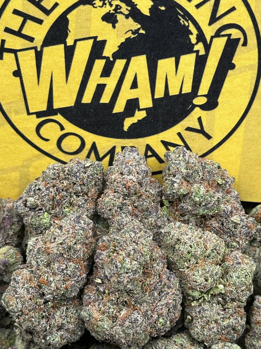 Quattro Kush (Hybrid)