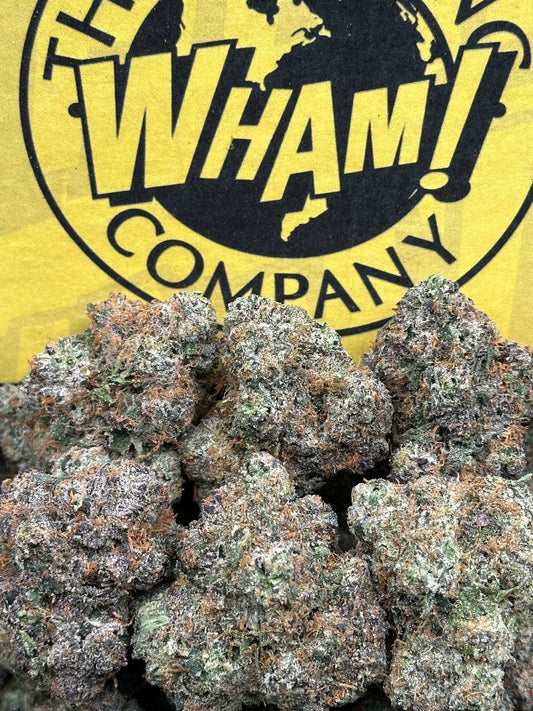 Cracker Award of the Year (Hybrid)