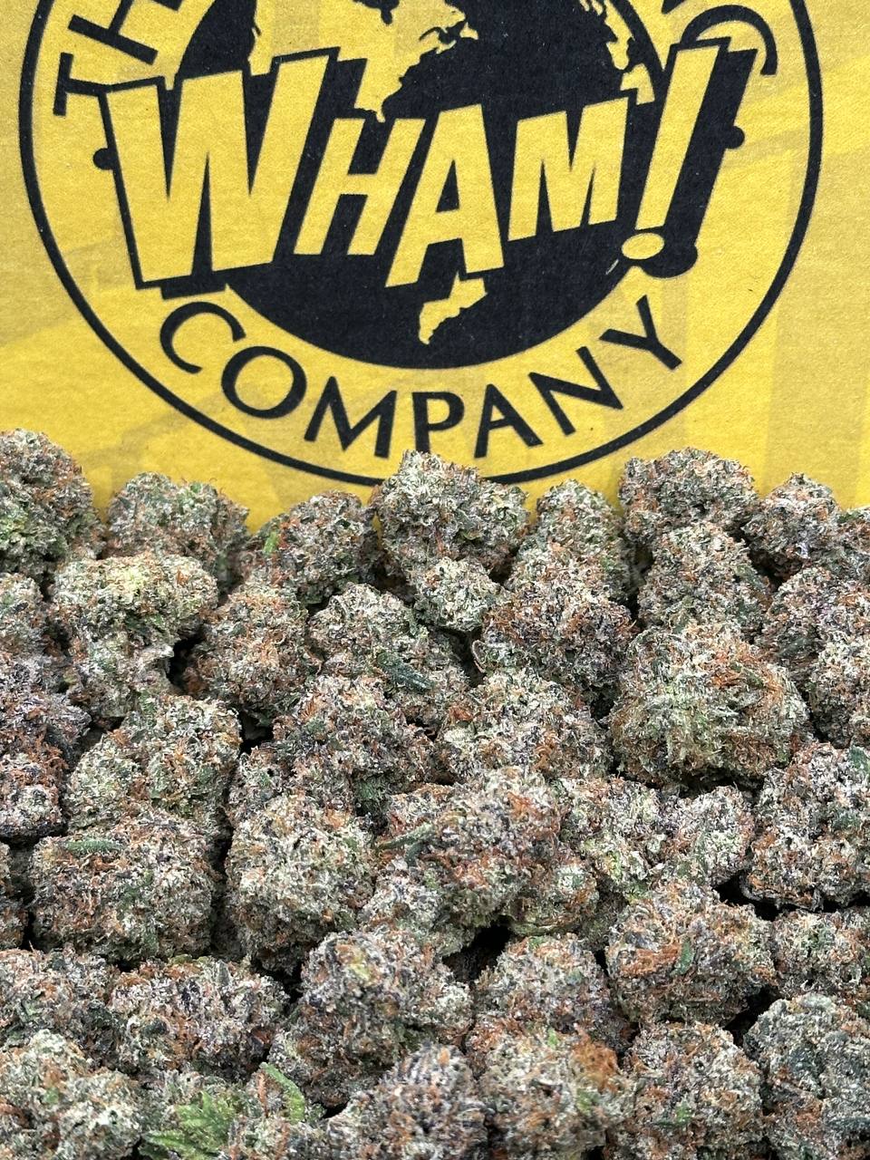 Crostada SM (Hybrid)