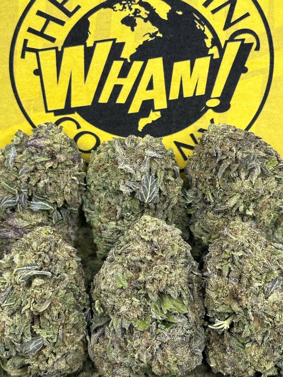 GMO X Zkittles (Indica)