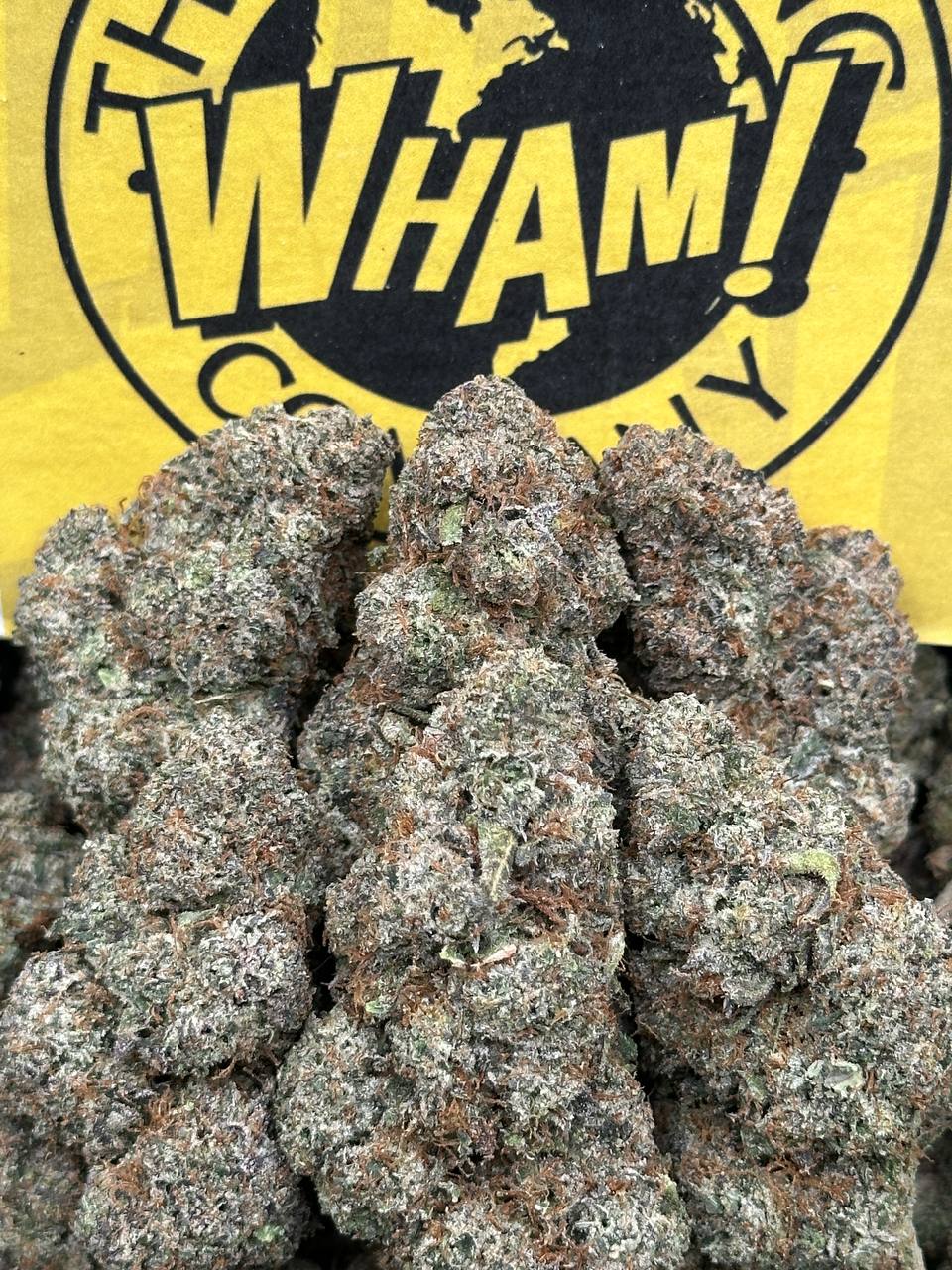 The Starhush Workshop