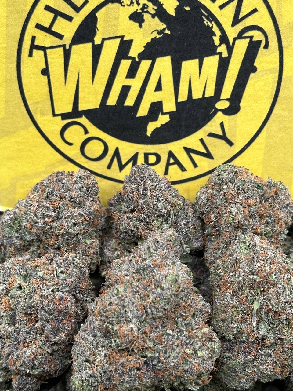 Rainbow Sherbet (Hybrid)