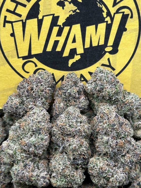 Black Runtz (Hybrid)