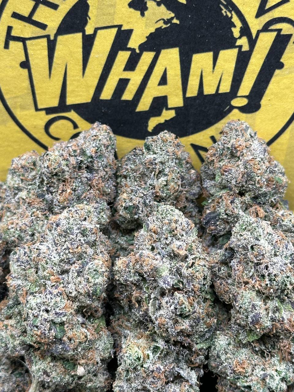 Cadillac Runtz (Indica Hybrid)