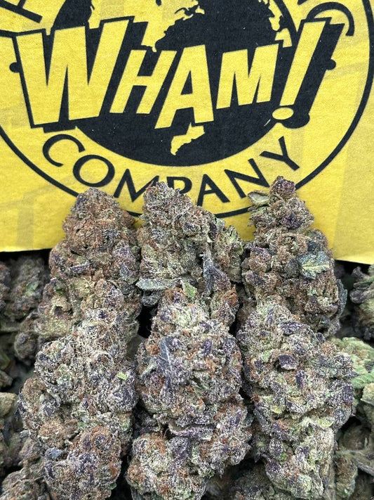 CTESPN Recovery (Hybrid)