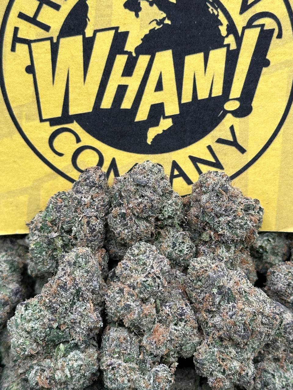 Gelato Cake (Hybrid)