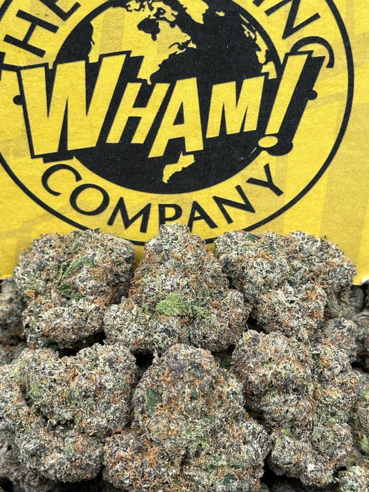 Gelato Paloma (Indica)