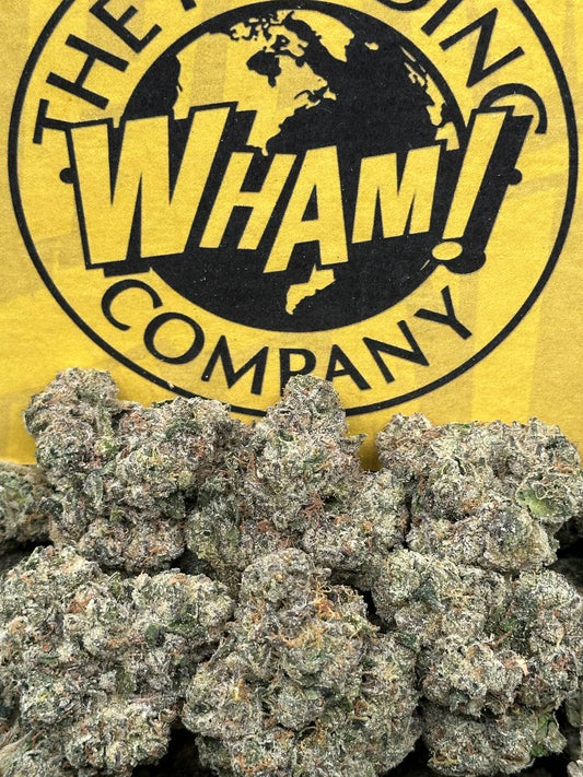 Mint Chocolate Runtz (Indica)