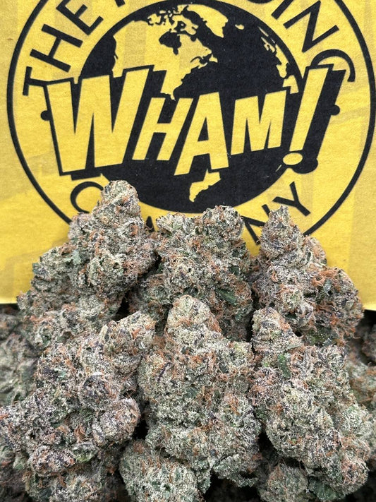 Triple Burger (Hybrid)