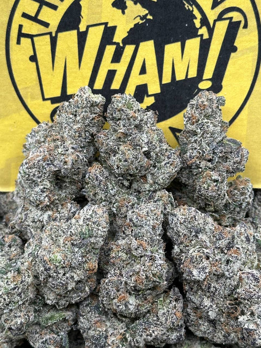 Rainbow Sherbet (Hybrid)