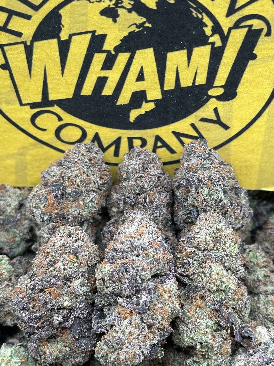 Gelato Paloma (Indica Hybrid)