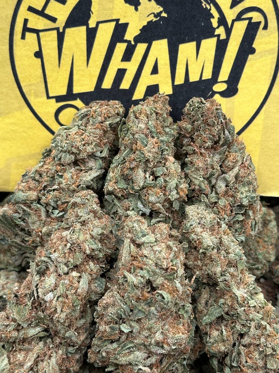 Cheetah Pizz (Hybrid)