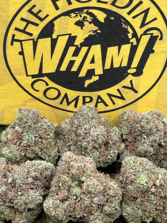 Gary Peyton (Hybrid)