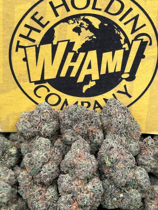 Blue Gummiez (Hybrid)