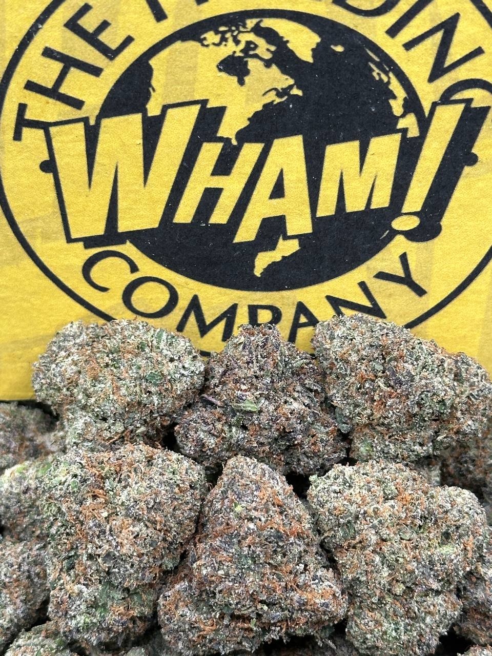 Trop Cherries (Hybrid)