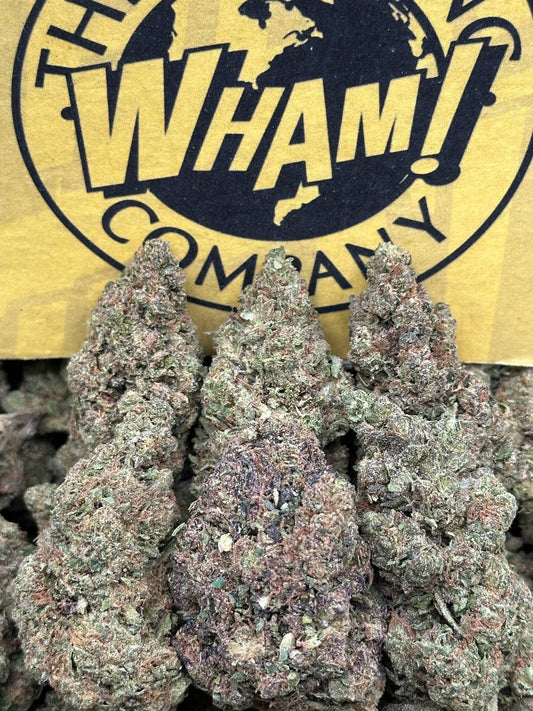 Cadillac Rainbow (Hybrid)