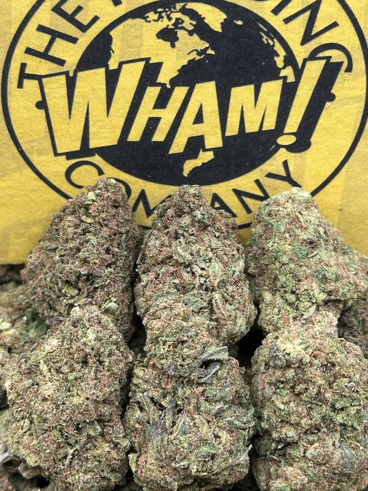 Mint Chocolate Runtz (Hybrid)