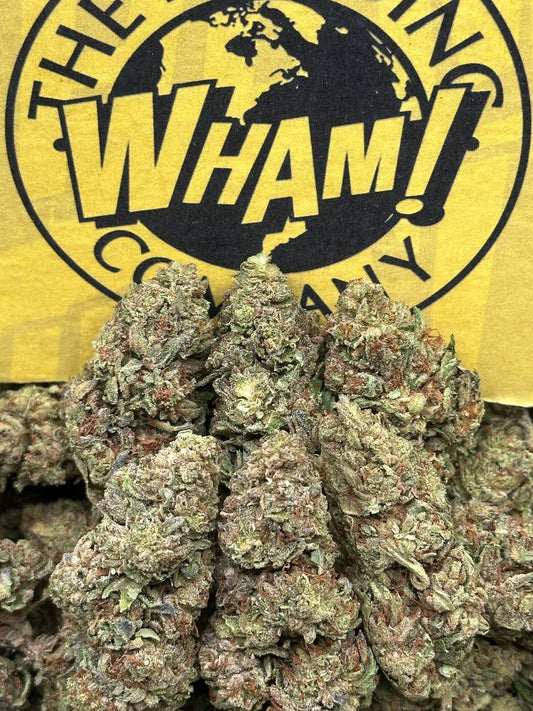 Purple Punch (Hybrid)