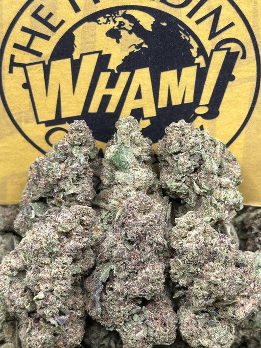 Quattro Kush (Hybrid)