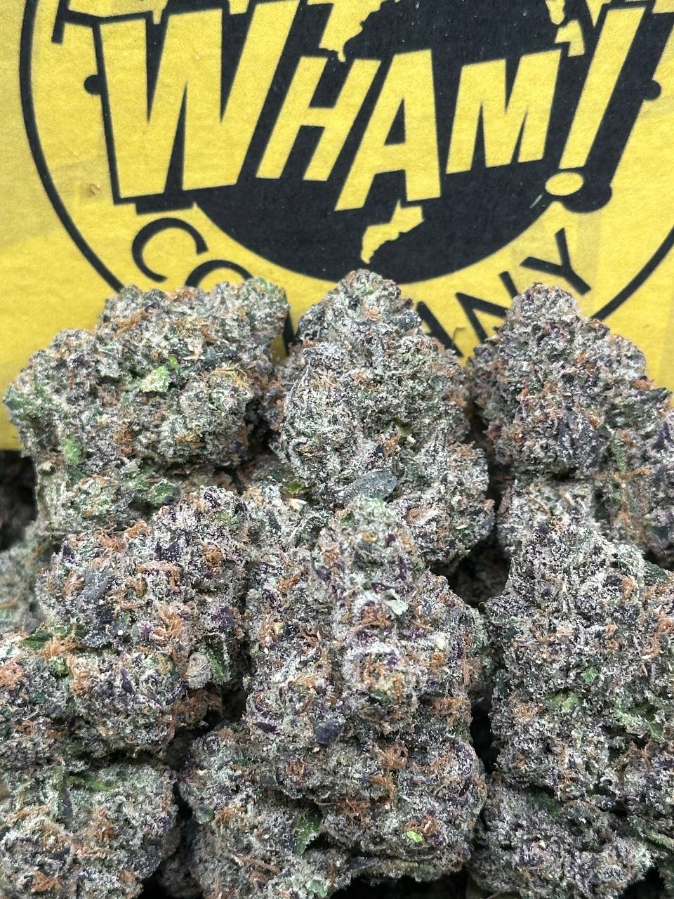 Priority Exotics (Hybrid)