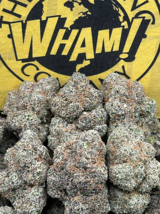 Strawpicana (Hybrid)