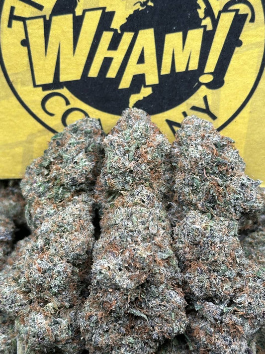 Tres Leches (Hybrid)