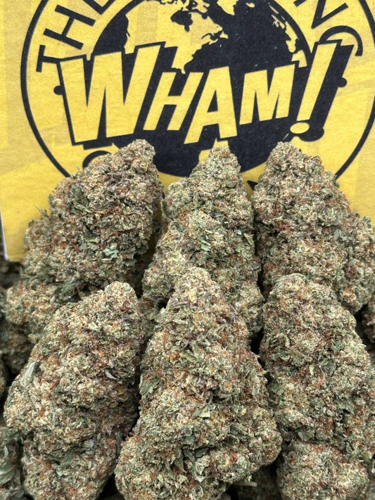White Widow SM (Hybrid)