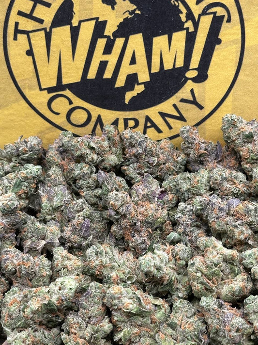 Black Cherry Soda SM (Hybrid)