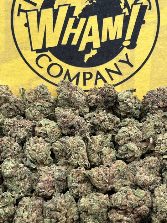 Black Mirror Snowiest SM (Hybrid)