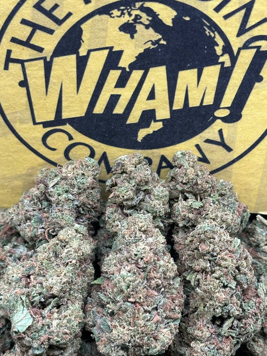 Cadillac Runtz (Hybrid)