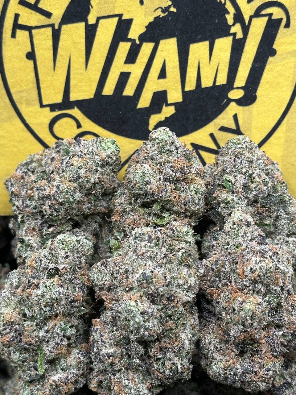 Rainbow Sherbet (Hybrid)