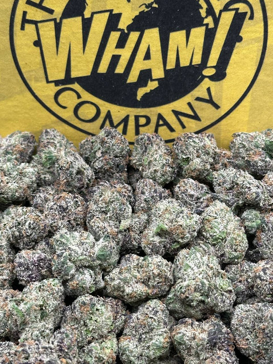 Super Boof SM (Hybrid)