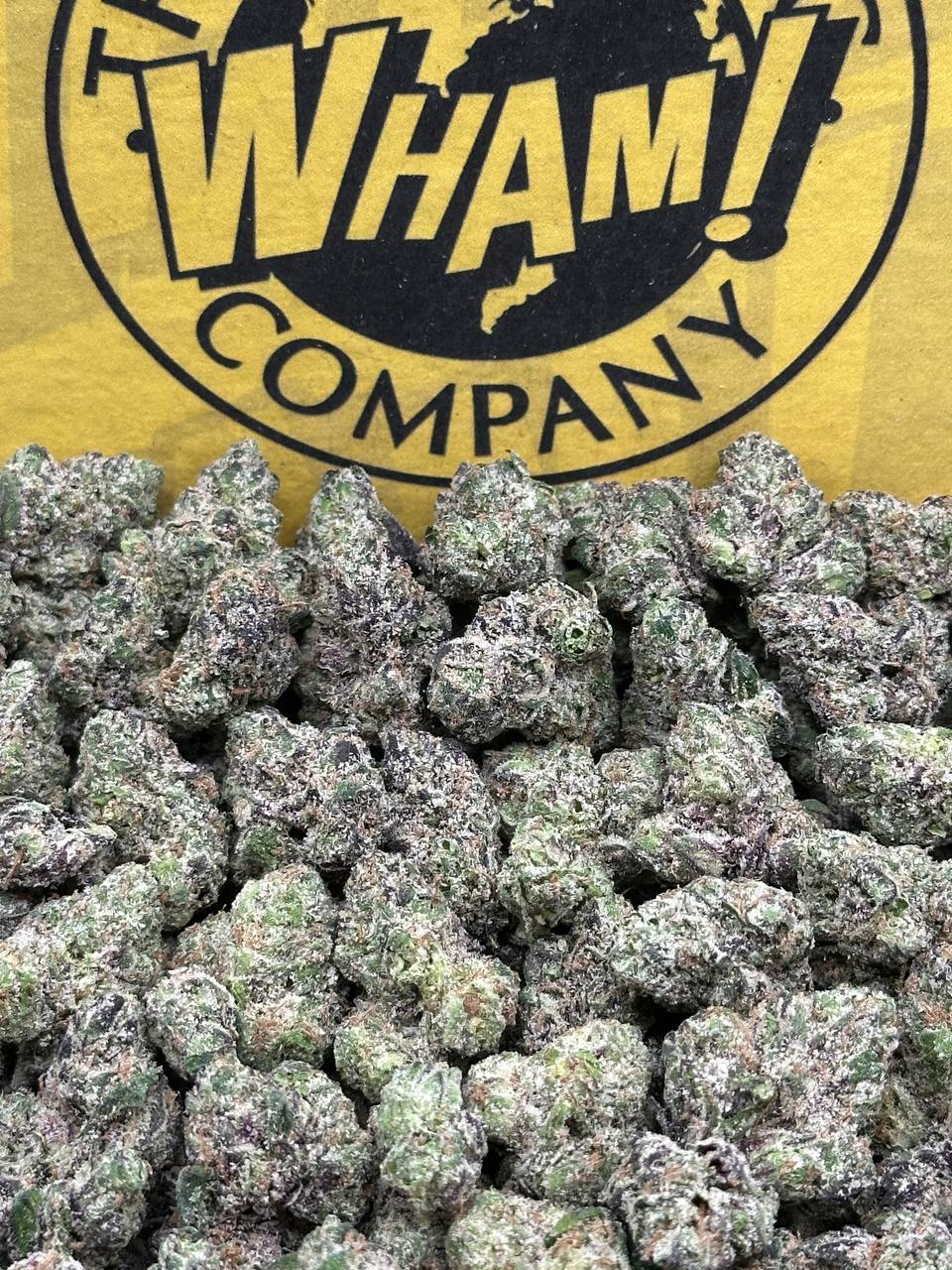 Super Glue SM (Hybrid)