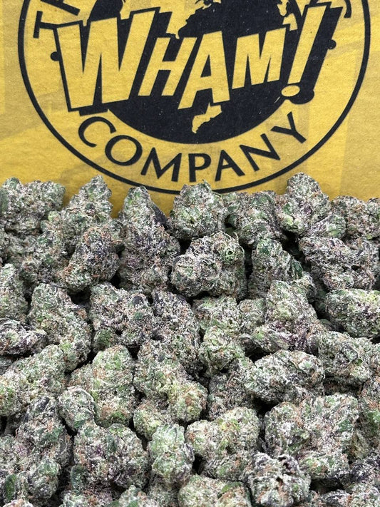 Super Glue SM (Hybrid)