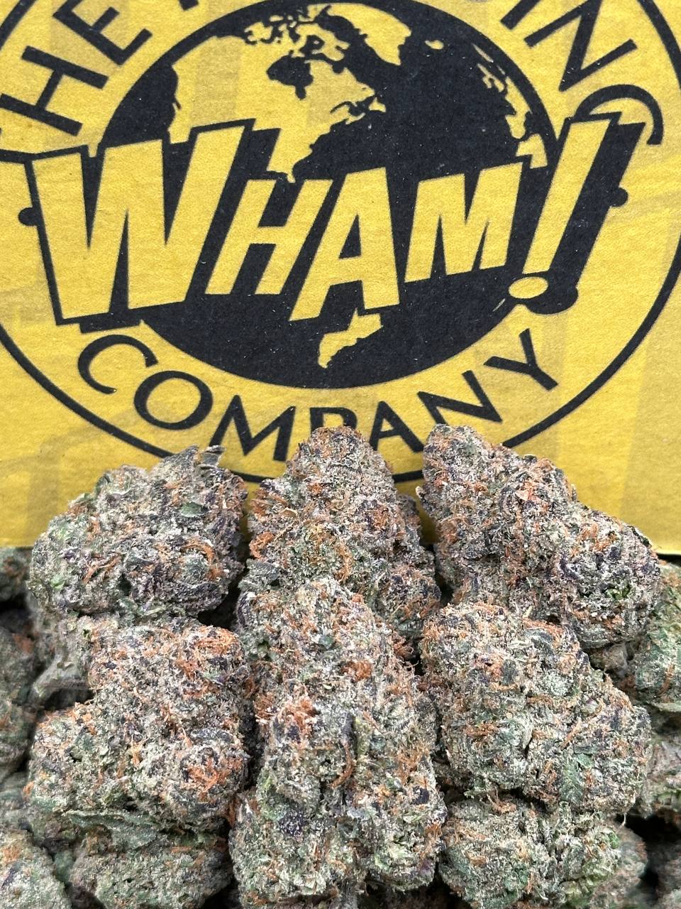 Triple Burger (Hybrid)