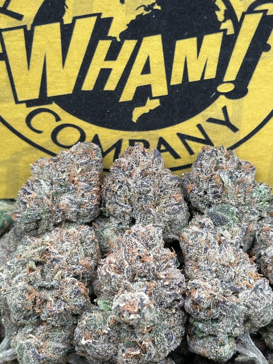 Trop Cherries (Hybrid) (Hybrid)