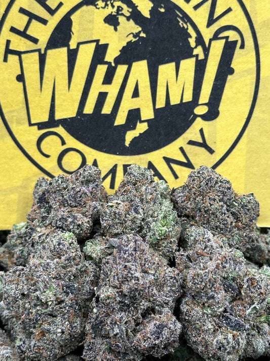 White Cherry Gelato (Hybrid)