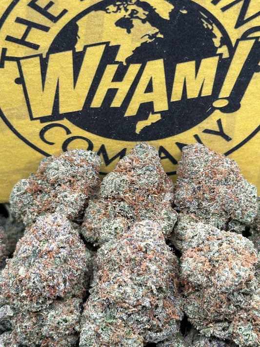 Wonder Bread (Hybrid)