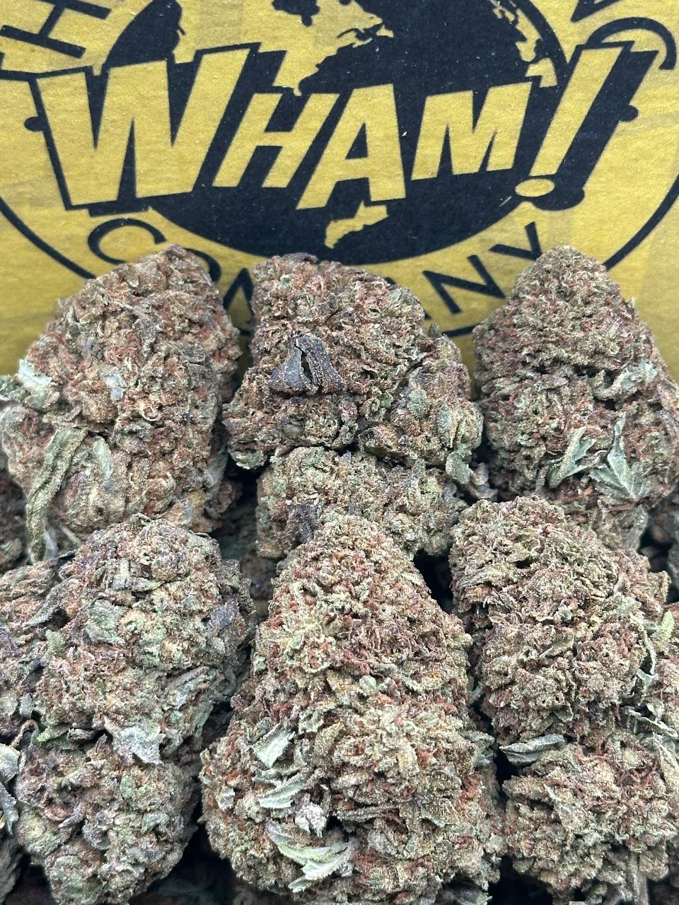 Cherry Cake (Hybrid)