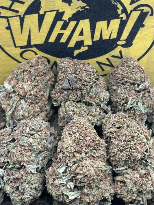 Cherry Cake (Hybrid)