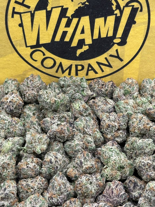 L'Atelier Starhush SM (Hybrid)