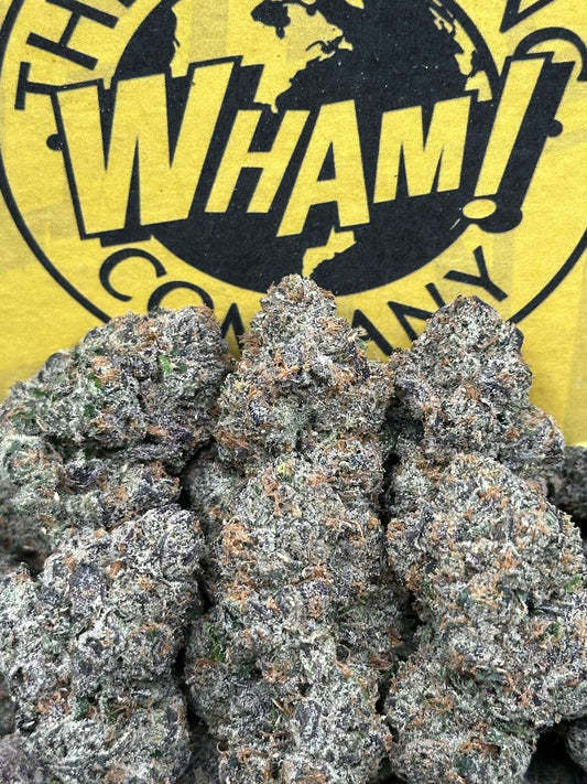 Jealousy X Gelato  (Indica Hybrid)