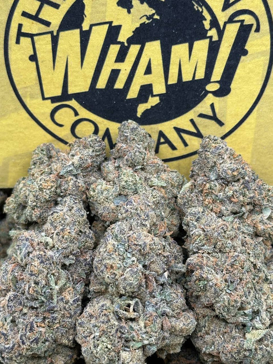 Malawi Gold (Hybrid)