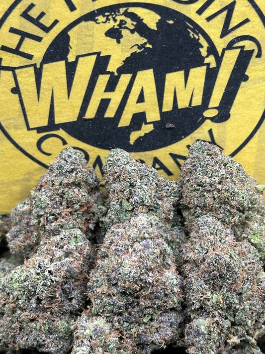 9 LB Hammer (Indica)