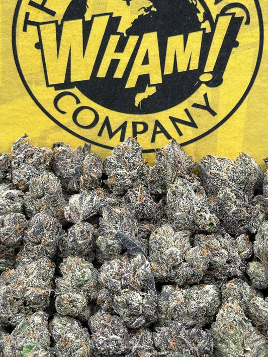 Blue Zookies SM (Indica)