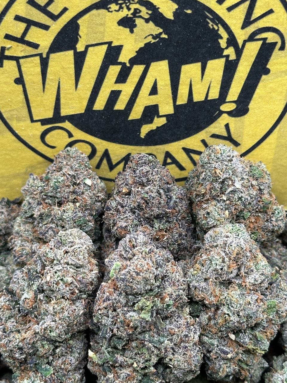 Space Junky (Hybrid)