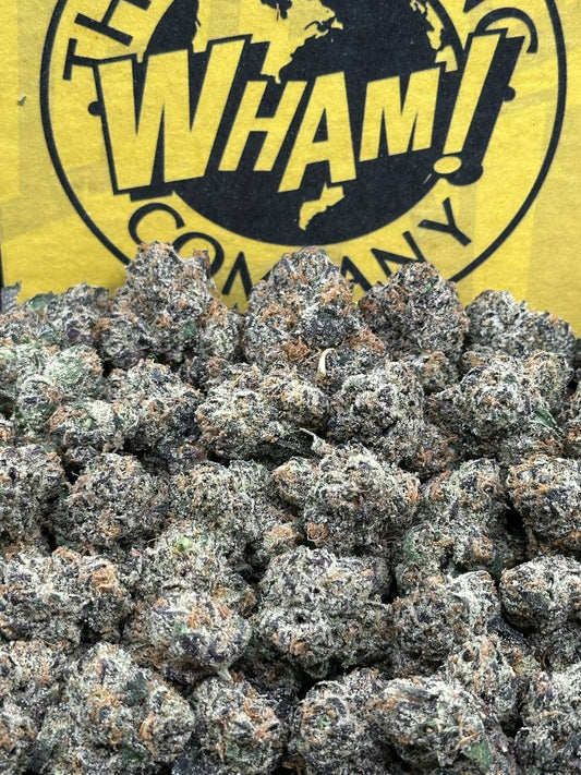 Super Boof SM (Hybrid)